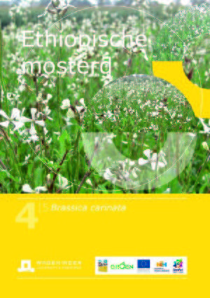 Handboek groenbemesters - Kruisbloemigen - Ethiopische mosterd.jpg