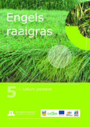 Handboek groenbemesters - Grasachtigen - Engels raaigras.jpg