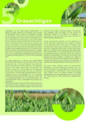 Handboek groenbemesters - Grasachtigen .jpg