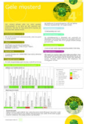 Handboek groenbemesters - Kruisbloemigen - Gele mosterd - Factsheet.jpg