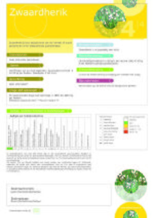 Handboek groenbemesters - Kruisbloemigen -Zwaardherik - Factsheet.jpg