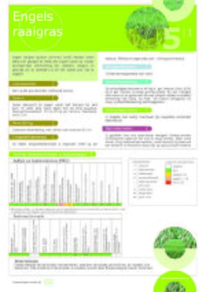 Handboek groenbemesters - Grasachtigen - Engels raaigras - Factsheet.jpg