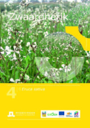 Handboek groenbemesters - Kruisbloemigen -Zwaardherik .jpg