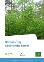 Revitalisering Nederlandse bossen.jpg